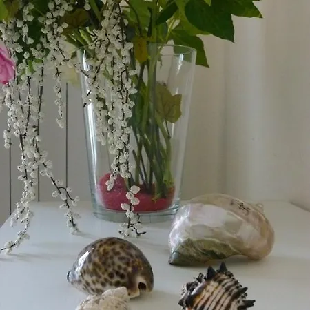 La Casa Di Valeria Appartement Viareggio